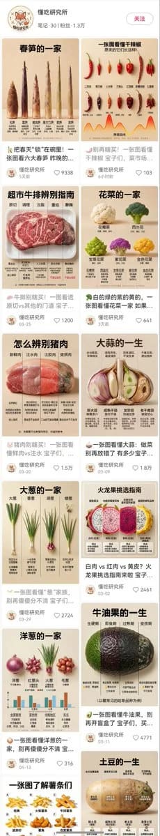 大蒜的一生科普信息图