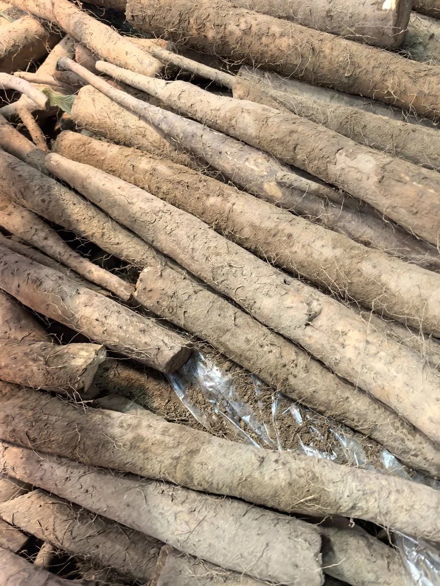 用 GPT Image 2 为山药生成产品包装视觉设计