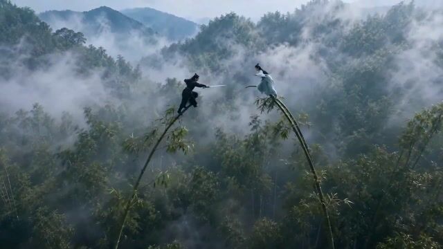 Seedance 生成武侠短片《竹林之巅》360度竹林剑斗