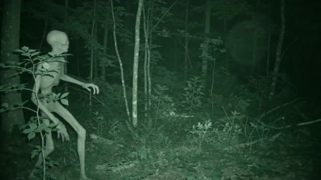 Seedance 2 skinwalker trail camera horror prompt